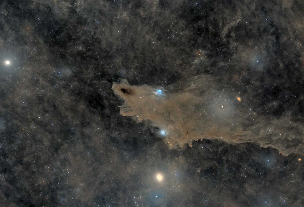 LDN 1235, the Dark Shark Nebula