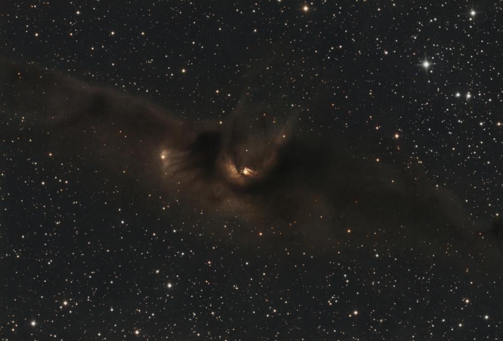 LDN43  Cosmic Bat nebula aka The Silent Assassin 