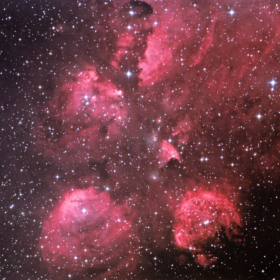 Cat's Paw Nebula
