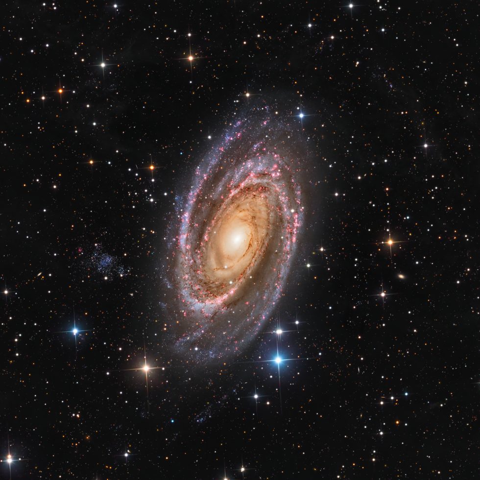 M81 in HaLRGB