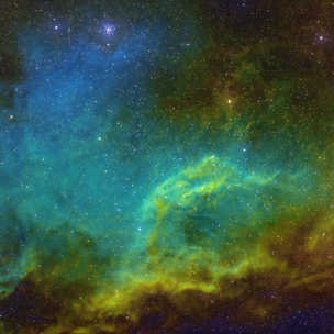 isnb_doi LDN-1667 Dark Nebula in Canis Major | Telescope Live