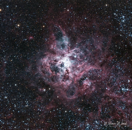 Tarantula Nebula