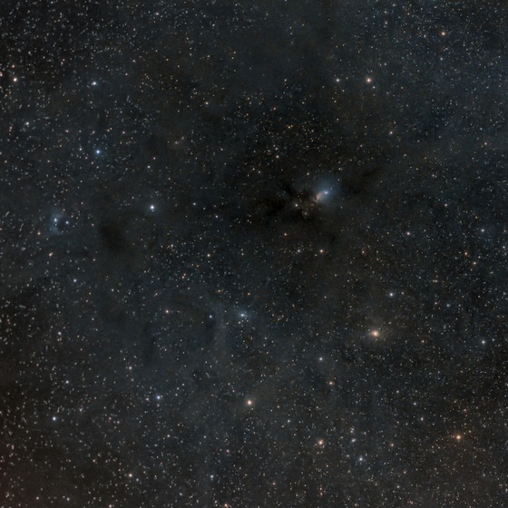 NGC1333