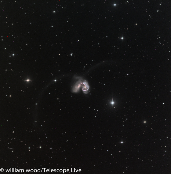 NGC 4038