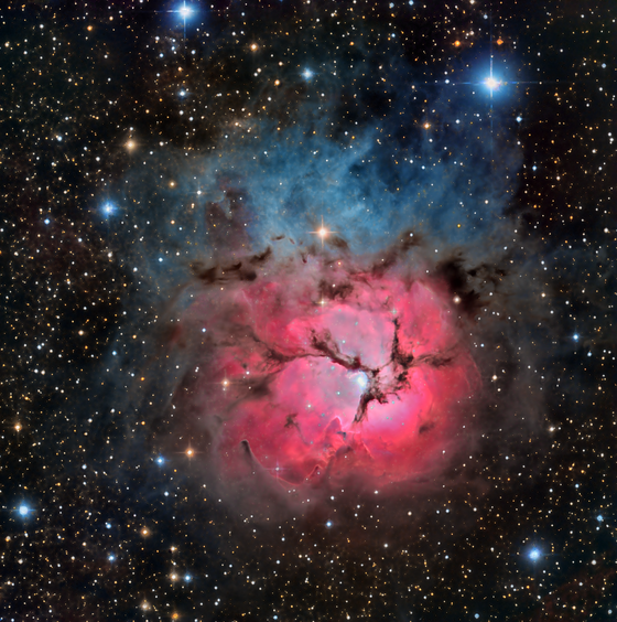 Day of the Triffids? Night of the Trifid