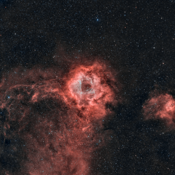 A Red Rose in the Sky