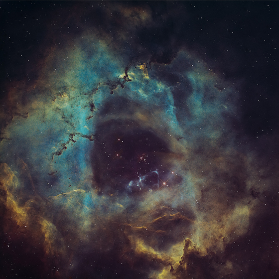 The Rosette Nebula