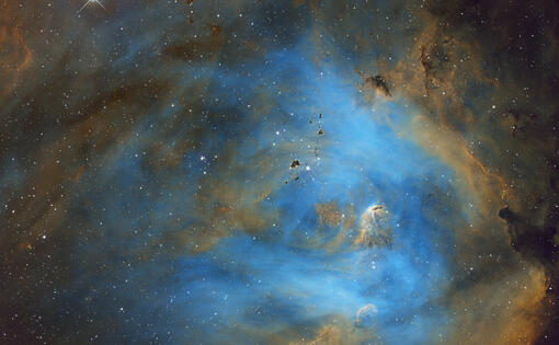 IC2944_Running_Chicken