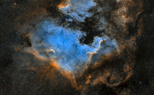 NorthAmerican_Pelican_Nebula