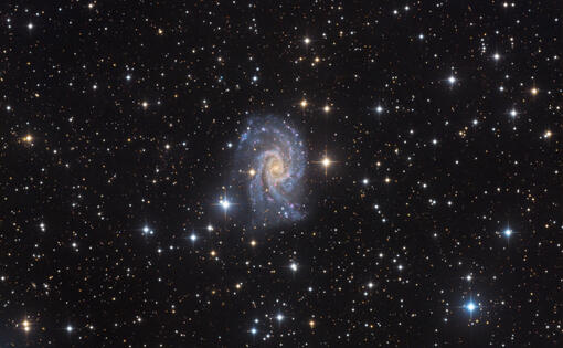 NGC 2835