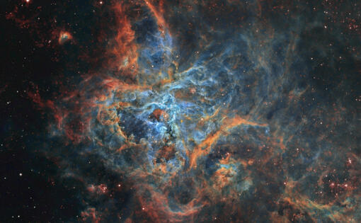 Tarantula Nebula NS