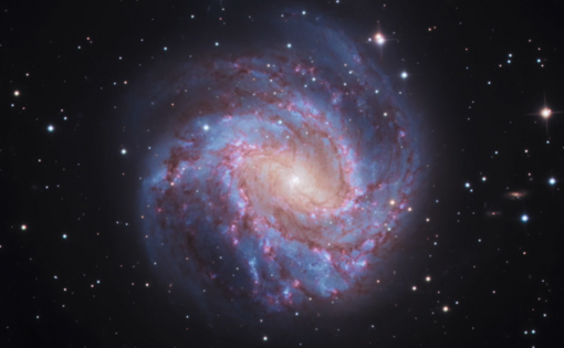 RV APP M83