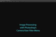 Image Processing with Photoshop's Camera Raw Filter Menu