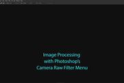 Photoshop's Camera RAW filter